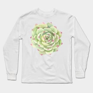 Desert Rose, Succulent Greenery Long Sleeve T-Shirt